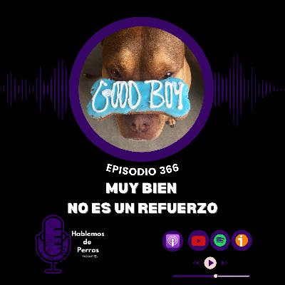 EP#366: «Muy Bien» No es un refuerzo