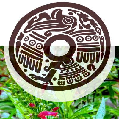 Presentación del podcast y del grupo de medicina tradicional mexicana JAPSUN