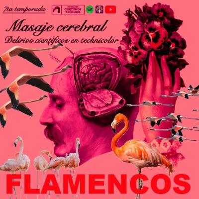 FLAMINGOS FLAMINGOS
