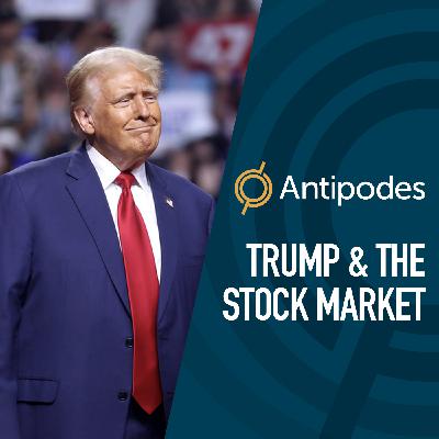 US election aftermath: 3 under-the-radar stocks & how will the Fed react in 2025?