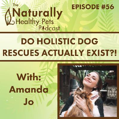 EP 56: Do Holistic Dog Rescues Actually Exist?! with Amanda Jo