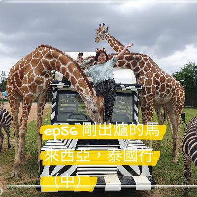 ep56 剛出爐的馬來西亞，泰國行（中）