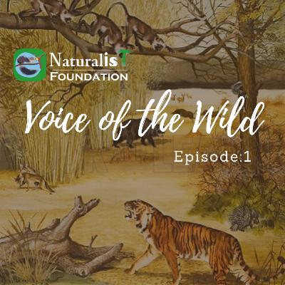 Voice of the Wild - Episode 1