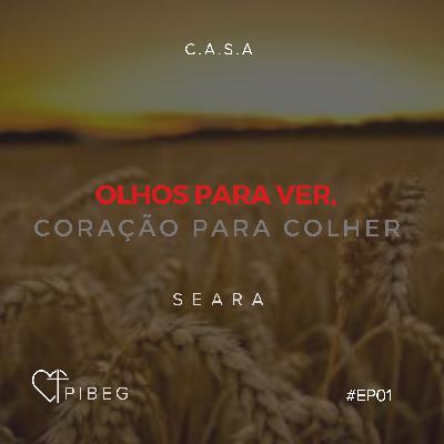 Olhos para ver, coração para colher #01