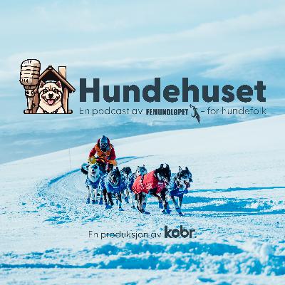 Verdens beste hundekjører - Thomas Wærner