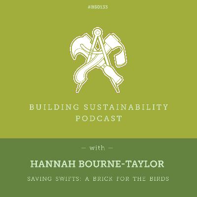 Saving Swifts: A Brick for the Birds - Hannah Bourne-Taylor - BS133