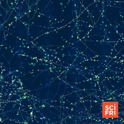 ‘Underground Atlas’ Shows How Vulnerable Fungal Networks Are