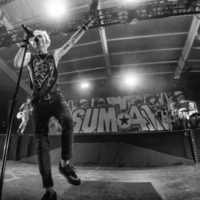 Discography Draft - Sum 41