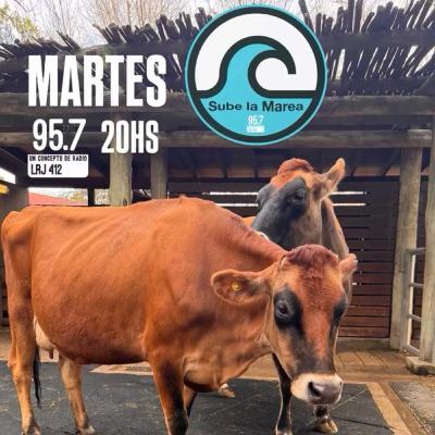 #SubeLaMarea - Hablamos que se necesita para una juntada de lujo con amigos en un asado , picadas , bebidas , postres, música, secretos que no puede faltar y mucho mas en este imperdible programa !! #SubeLaMarea - Hablamos que se necesita para una juntada de lujo con amigos en un asado , picadas , bebidas , postres, música, secretos que no puede faltar y mucho mas en este imperdible programa !!