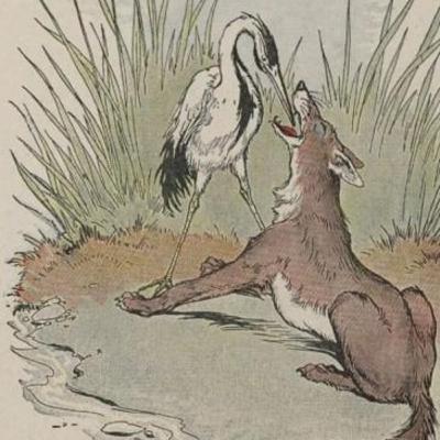 Episode 7 - The wolf and the crane