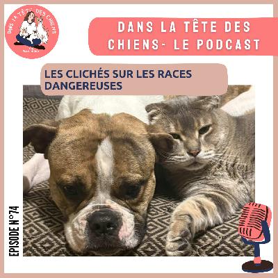 Les clichés sur les races dangereuses Les clichés sur les races dangereuses