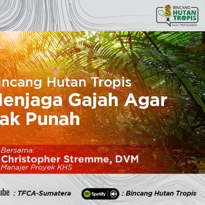 Menjaga Gajah Agar Tak Punah