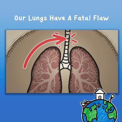 Our Lungs Have A Fatal Flaw
