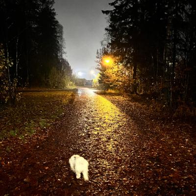 Egenberedskaps uka 2022