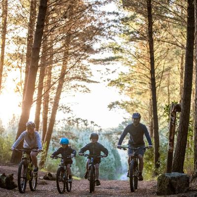 Economist Benje Patterson: bike tourism in plantation forests