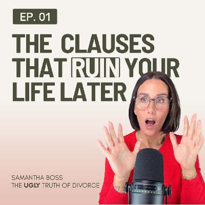 1: Do Not Sign This Parenting Plan - The Clauses That Ruin Your Life Later