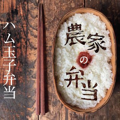 第5話/ハム玉子弁当/