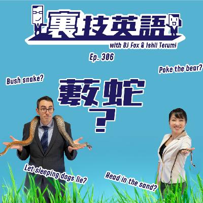 Episode #306: 藪蛇は英語だと"Asking for trouble"!? Episode #306: 藪蛇は英語だと"Asking for trouble"!?