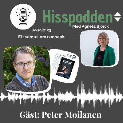 Ett samtal om cannabis med Peter Moilanen