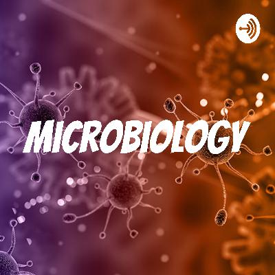 MRSA: You DO NOT Want to Get This Bacterial Infection!