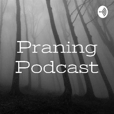 Praning Episode 2 - Chiong Sisters