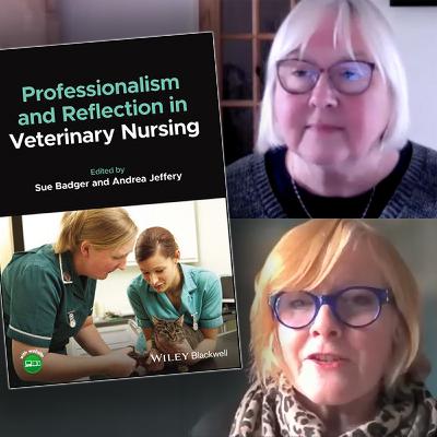 Ep 37: Andrea Jeffery and Sue Badger on professionalism and reflection in veterinary nursing Ep 37: Andrea Jeffery and Sue Badger on professionalism and reflection in veterinary nursing