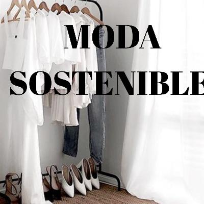 EPISODIO #1 COMO CONSTRUIR UN ARMARIO SOSTENIBLE EPISODIO #1 COMO CONSTRUIR UN ARMARIO SOSTENIBLE