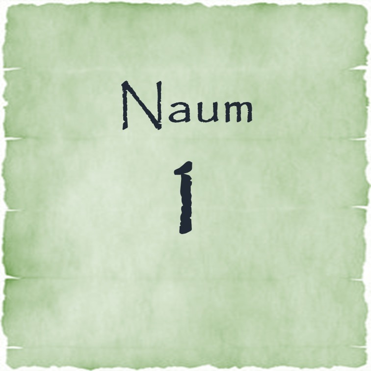 Naum 1 episode artwork