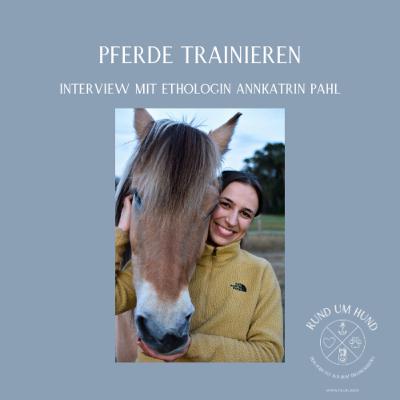 Pferde trainieren - Interview mit Ethologin Annkatrin Pahl