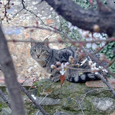 从广州到上海，从美国到法国，P人如何跨城搬家？