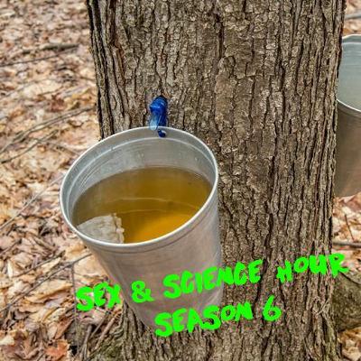 Sex & Science Hour - S06 EP02: “Sweet Views" Sex & Science Hour - S06 EP02: “Sweet Views"