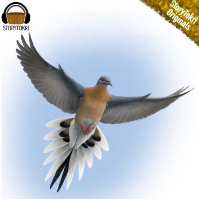 Passenger Pigeon Passenger Pigeon