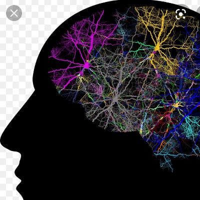 MENTE MILLONARIA$El camino del Emprendedor!