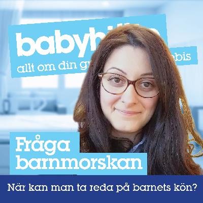 När kan man ta reda på barnets kön?