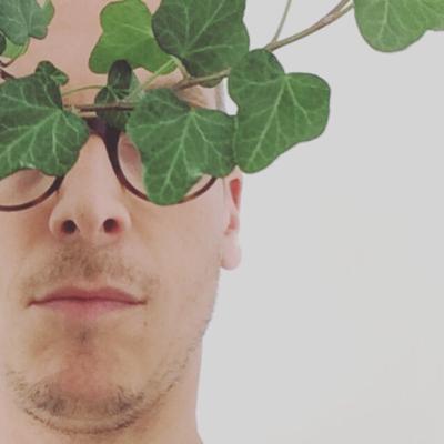 How to calathea fusion white