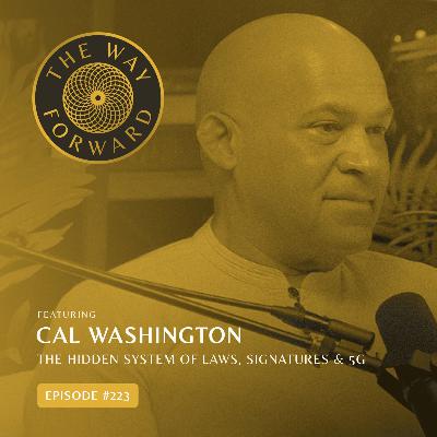 Ep 223: The Hidden System of Laws, Signatures & 5G with Cal Washington