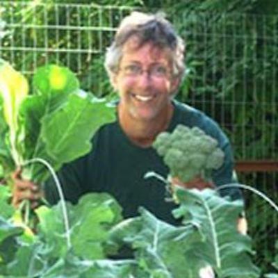 Lyme Disease and Its Treatment: with Dr. Tom Messinger
