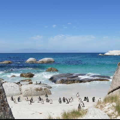 14. Accidentally in Cape Town!