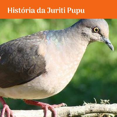 História da Juriti Pupu