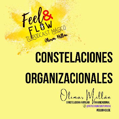 T:3/E:17 CONSTELACIONES ORGANIZACIONALES