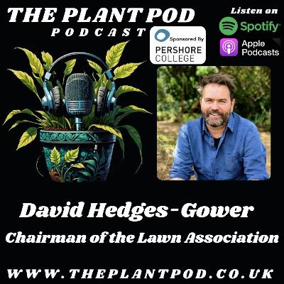 David Hedges-Gower (Chairman of the Lawn Association ) David Hedges-Gower (Chairman of the Lawn Association )