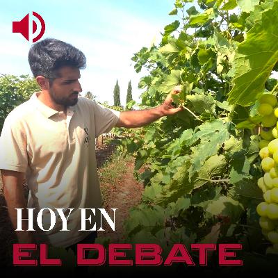 ¿Por qué los jovenes españoles no quieren trabajar en el campo?: «Hace falta que sea rentable» ¿Por qué los jovenes españoles no quieren trabajar en el campo?: «Hace falta que sea rentable»