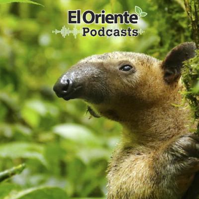Episodio 5 - Entrevista a Neisi Dajomes