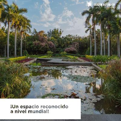 Audioguia del JARDÍN BOTÁNICO DE CULIACAN.