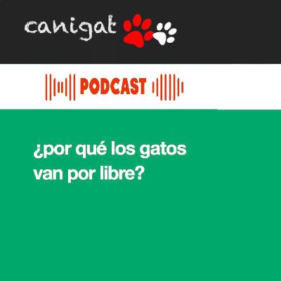 128 - ¿por qué los gatos van por libre?