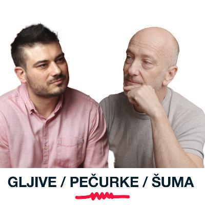 GLJIVE: zaboravljeno blago šume / Almažan Kitchen / ŽIŠKA podkast #220