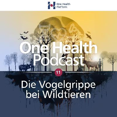Die Vogelgrippe bei Wildtieren
