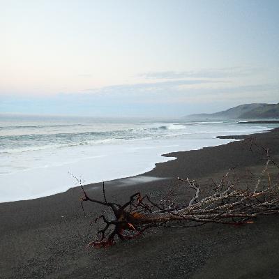 180: Lost Coast- Long Winter Night at Mattole Beach