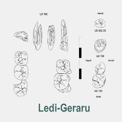 Entre la extinción y el origen: los últimos Australopithecus y los primeros Homo Entre la extinción y el origen: los últimos Australopithecus y los primeros Homo