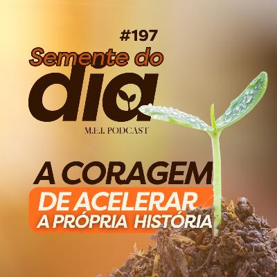 SEMENTE DO DIA: A coragem de acelerar a própria história